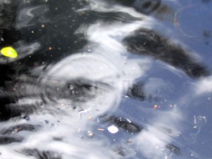 reflet