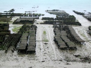 cancale