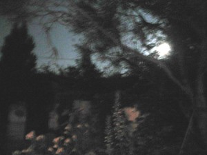 sulpice1