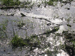 lac-beaulieu