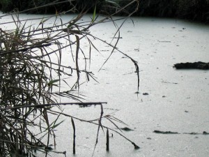 lac-beaulieu1