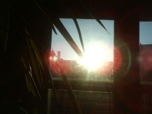 morning1