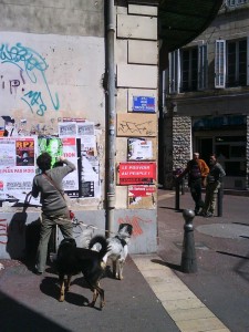 cours-julien