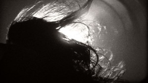 chant des insectes