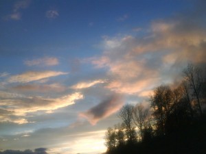 A283