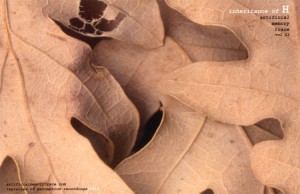 cover in heritance of h