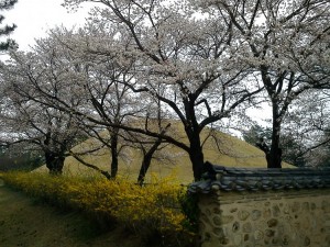 gyeongju1