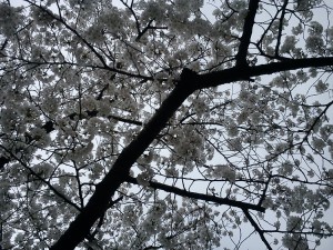 gyeongju24