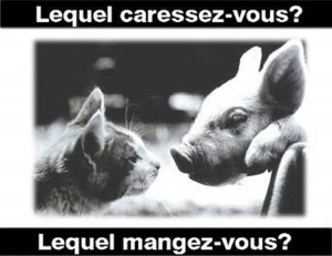 lequel-mangez-vous