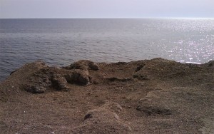 marsala