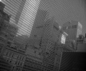 moma2