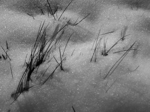 neige