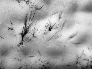 neige1