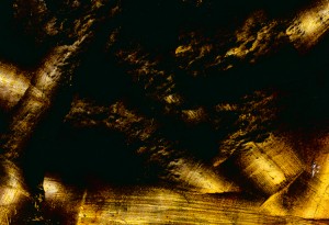 painting49