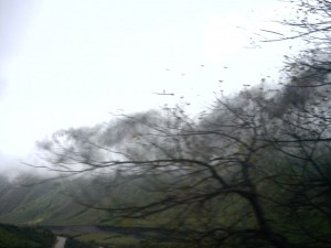 route-salta-4