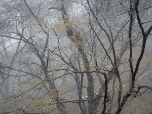 seoulpark11