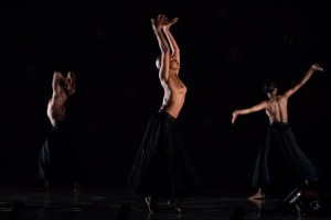 swanlake