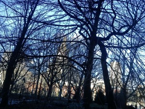 washingtonpark