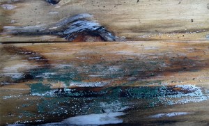 wood