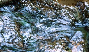 ruisseau