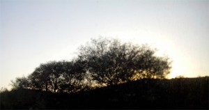 teulada