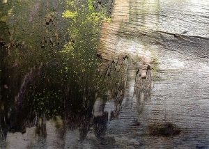 wood