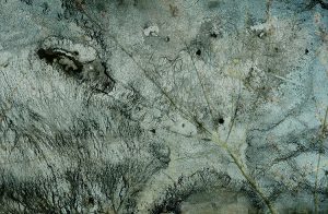 From a collection6