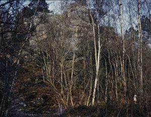 From a collection7