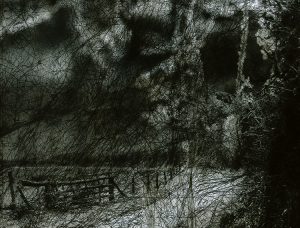 From a collection8